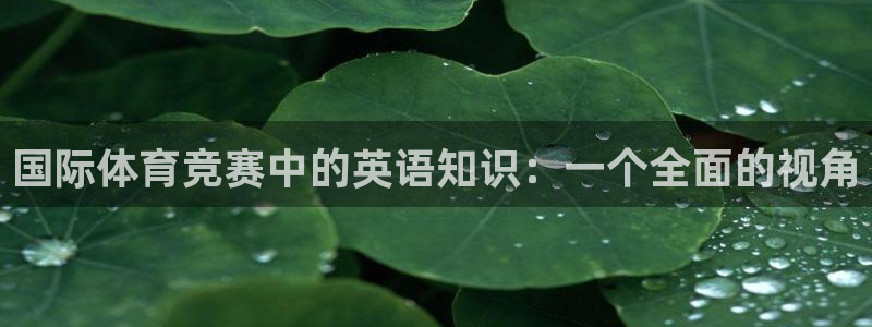 七星体育NBA：国际体育竞赛中的英语知识：一个全面的视角