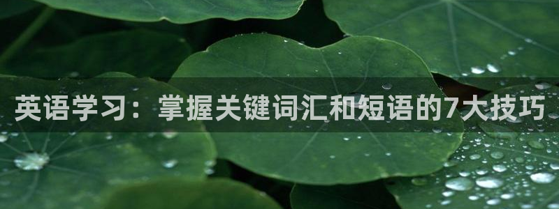七星体育直播现场直播新浪：英语学习：掌握关键词汇和短语的7大技巧