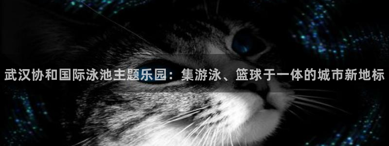 七星体育：武汉协和国际泳池主题乐园：集游泳、篮球于一体的城市新地标