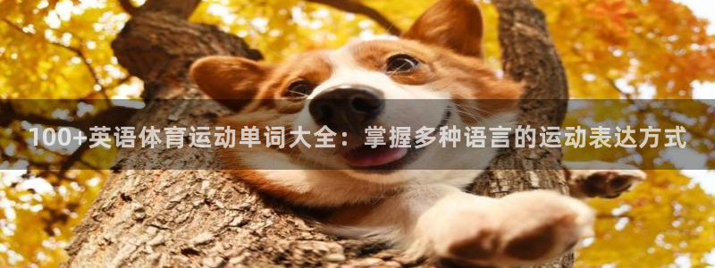 七星体育彩票中奖规则图：100+英语体育运动单词大全：掌握多种语言的运动表达方式