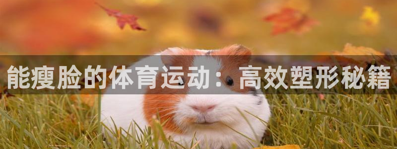 七星体育NBA：能瘦脸的体育运动：高效塑形秘籍