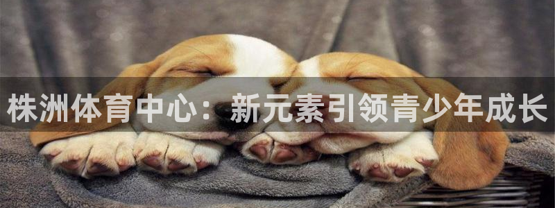 七星体育：株洲体育中心：新元素引领青少年成长