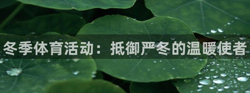 七星体育彩票：冬季体育活动：抵御严冬的温暖使者