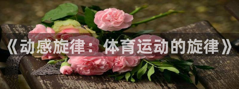 七星体育：《动感旋律：体育运动的旋律》